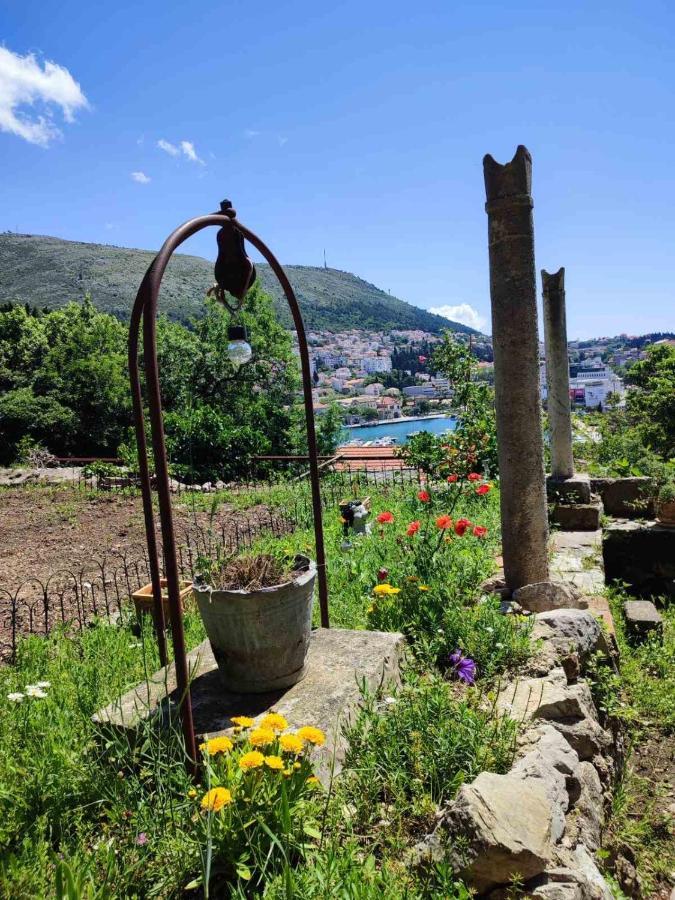 Peaceful House In Dubrovnik Apartment Ngoại thất bức ảnh